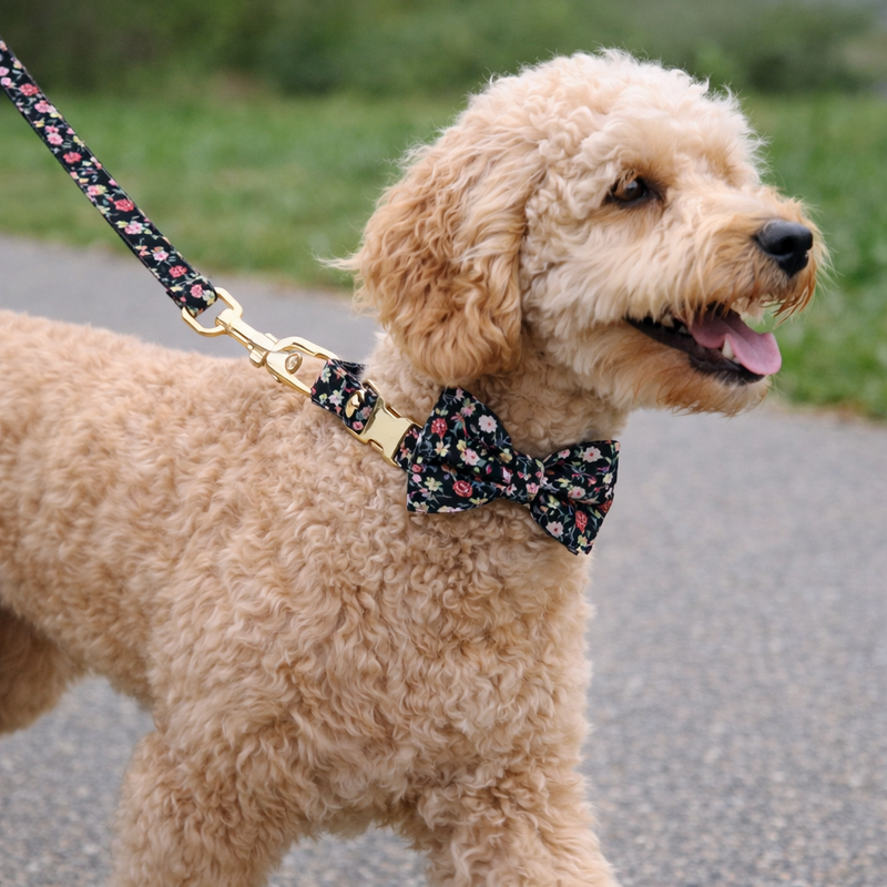 ANYWAGS Black Floral Bow Dog Collar and Leash Set Harness Lead for Training & Walking