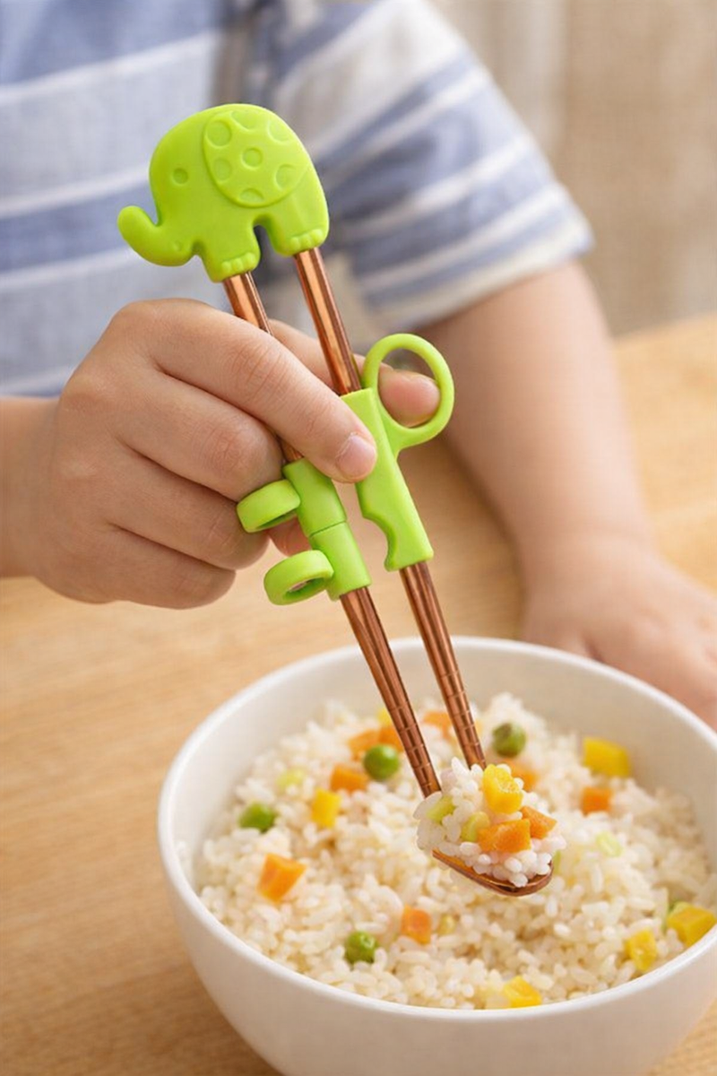 Anygleam Green Red Rainbow Elephant Chopsticks – 1 Pair | Reusable Stainless Steel Cartoon Kids Utensils