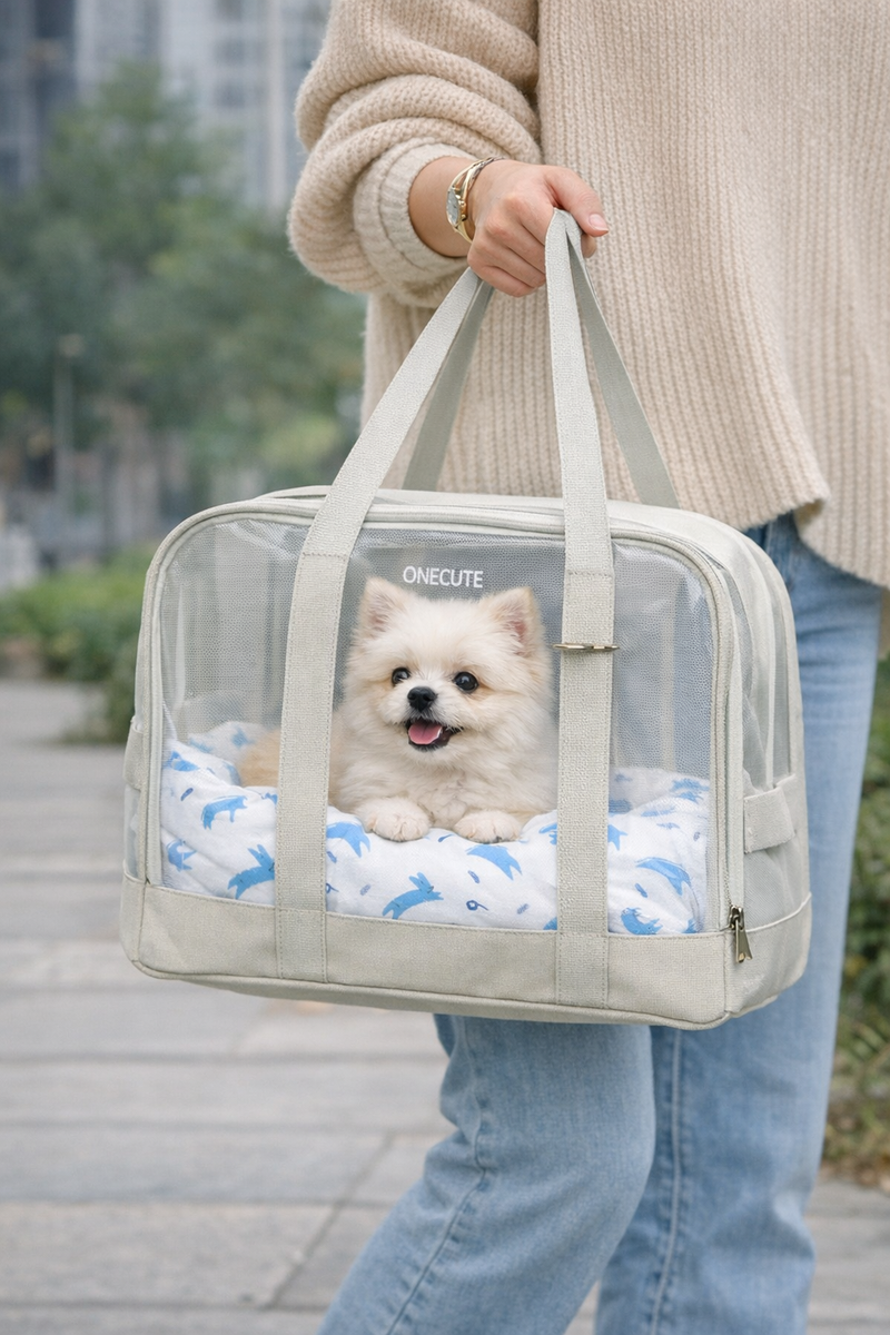 Anypet Gray Summer Pet Carrier – Breathable Cozy Shoulder & Hand Bag for Small Dogs, Poodles, Yorkies