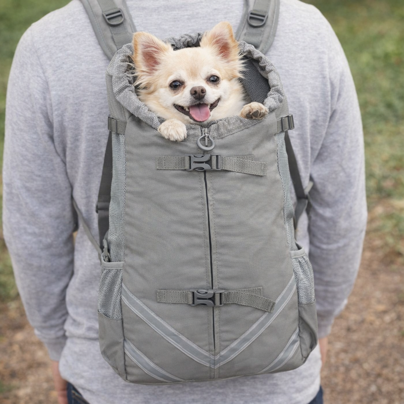 Anypet Gray Pet Carrier Backpack – Medium Travel Bag with Pocket for Small & Medium Dogs
