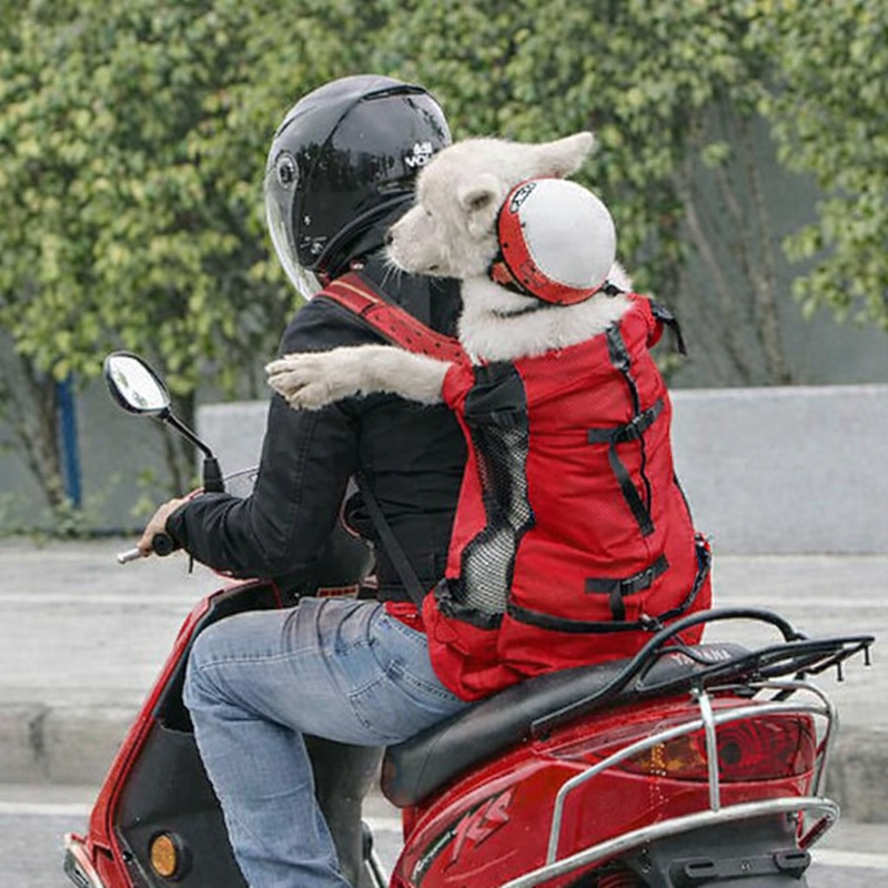 Anypet Medium Red Pet Carrier Backpack with Pockets – Travel & Driving Bag for Medium to Large Dogs