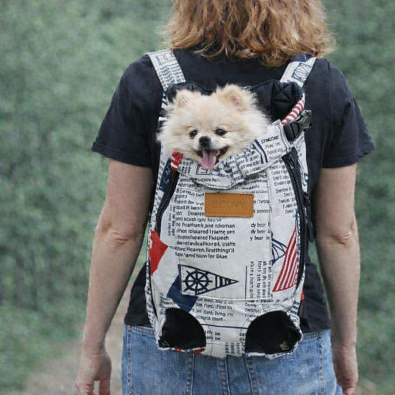 Anypet Small Magazine Printed Denim Pet Carrier Backpack – Breathable Travel Bag with Pockets for Small Pets