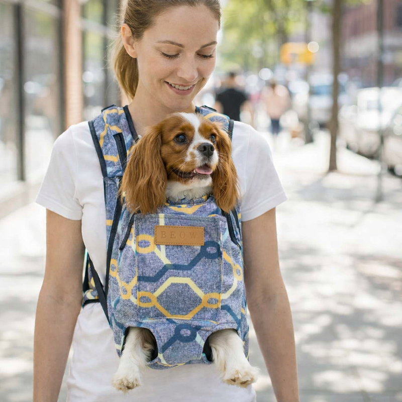 Anypet 3XL Light Blue Pattern Denim Pet Carrier Backpack – Breathable Travel Bag with Pockets for Small Pets