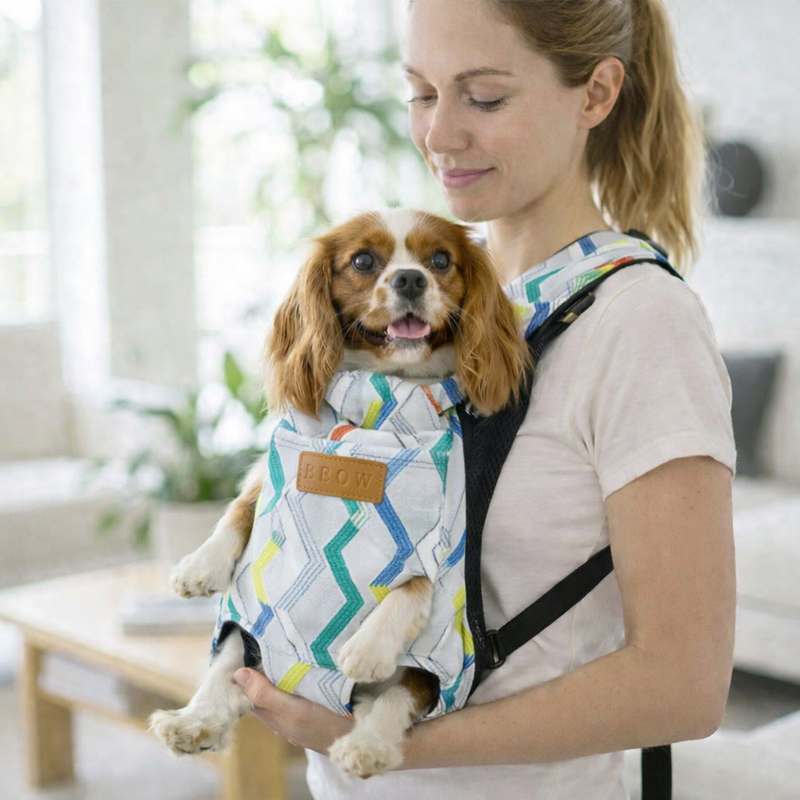 Anypet XXL Zigzag Pattern Denim Pet Carrier Backpack – Breathable Travel Bag with Pockets for Small Pets