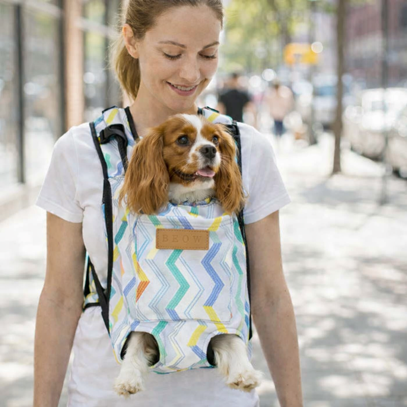 Anypet XXL Zigzag Pattern Denim Pet Carrier Backpack – Breathable Travel Bag with Pockets for Small Pets