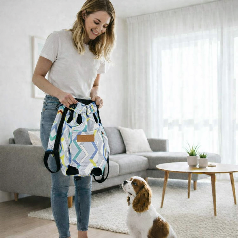 Anypet XXL Zigzag Pattern Denim Pet Carrier Backpack – Breathable Travel Bag with Pockets for Small Pets