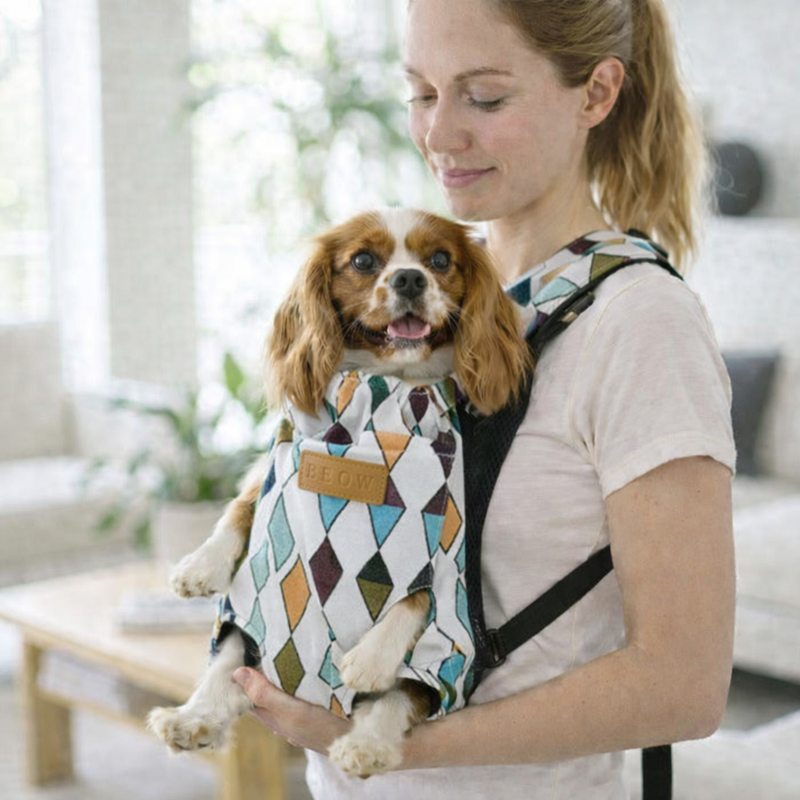 Anypet Medium Daimond Pattern Denim Pet Carrier Backpack – Breathable Travel Bag with Pockets for Small Pets