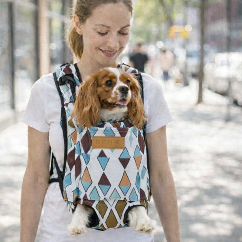 Anypet Medium Daimond Pattern Denim Pet Carrier Backpack – Breathable Travel Bag with Pockets for Small Pets