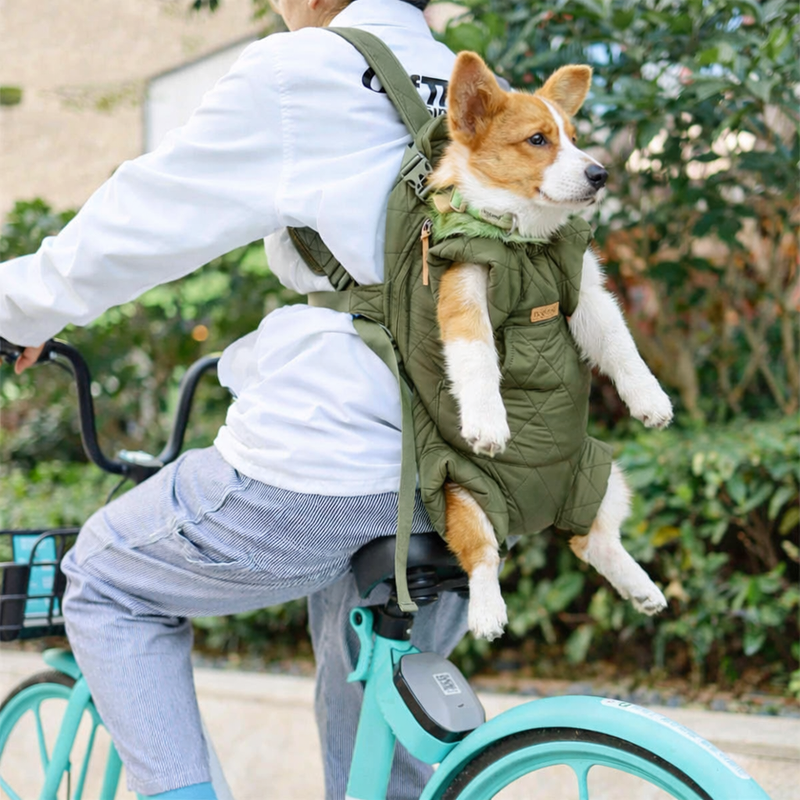 Anypet Green Cozy Winter Pet Carrier Backpack with Hoodie & Storage Pockets for Small to Medium Dogs
