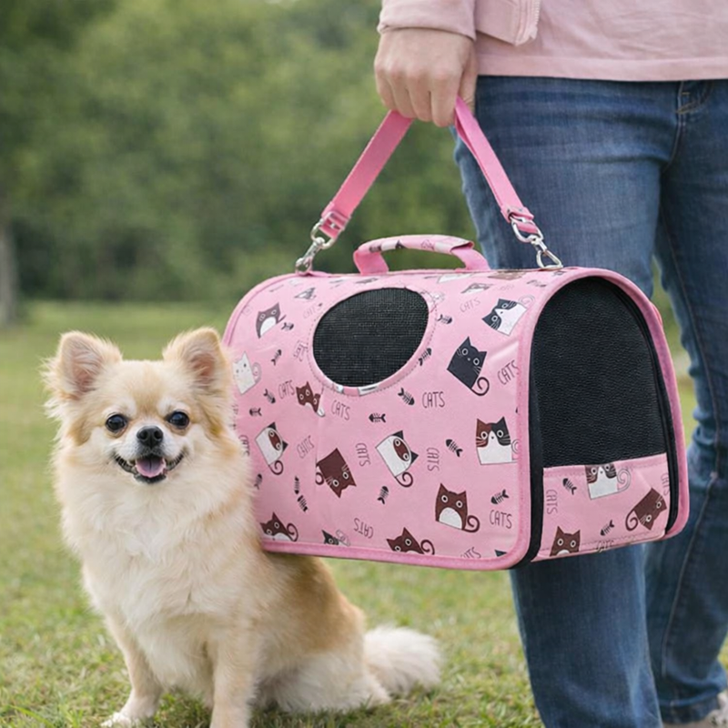 Anypet Large Pet Sling Bag – Big Eyed Cat Print Shoulder Carrier for Dogs & Cats, Lightweight Travel Accessory