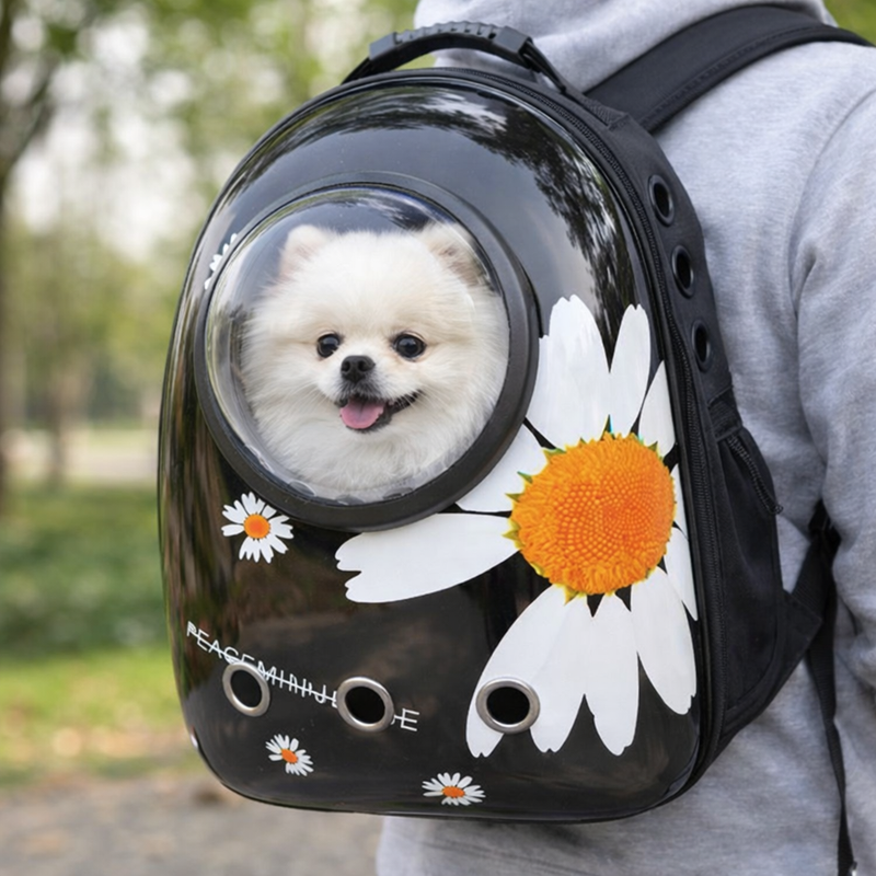 Anypet Black Daisy Print Space Capsule Pet Carrier – Breathable Travel Bag for Small Pets