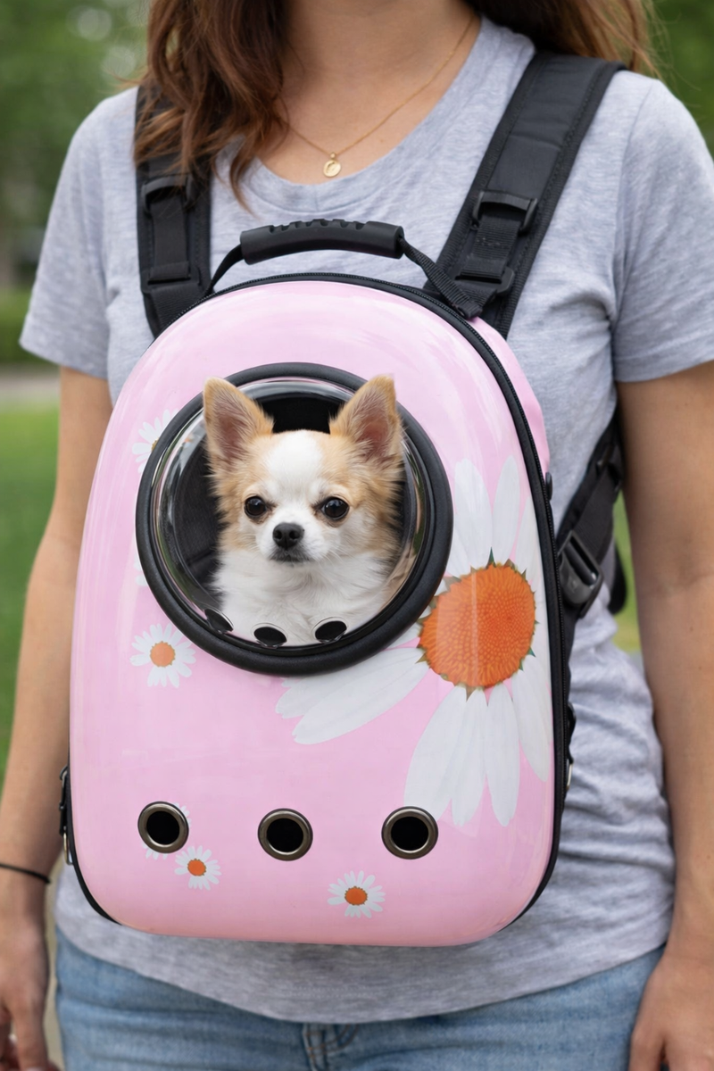 Anypet Pink Daisy Print Space Capsule Pet Carrier – Breathable Travel Bag for Small Pets