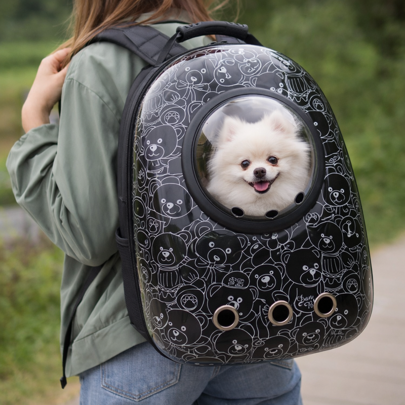 Anypet Black Bears Print Space Capsule Pet Carrier – Breathable Travel Bag for Small Pets