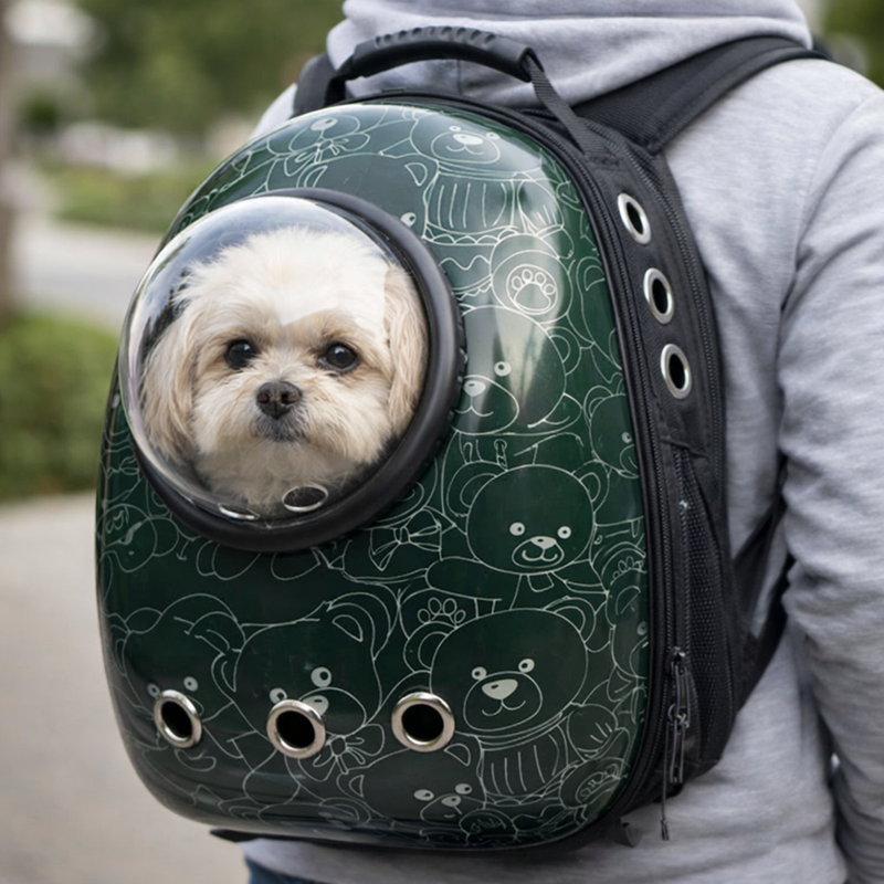 Anypet Green Bears Print Space Capsule Pet Carrier – Breathable Travel Bag for Small Pets
