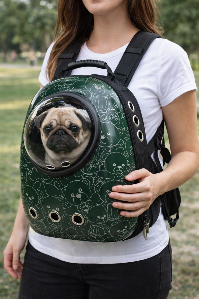 Anypet Green Bears Print Space Capsule Pet Carrier – Breathable Travel Bag for Small Pets