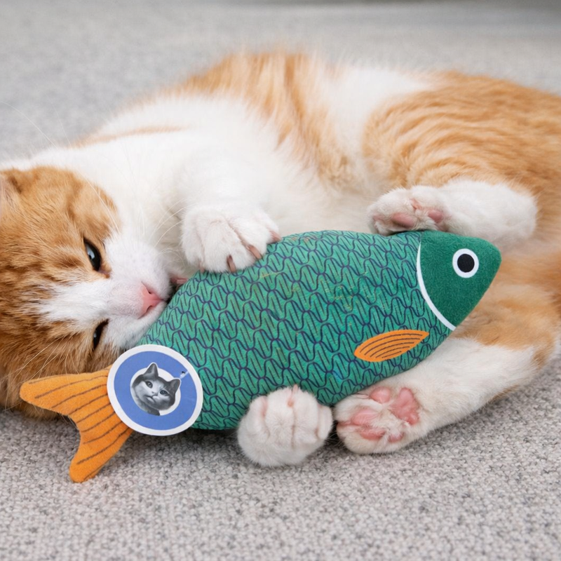 Anypet Green Squeaky Fish Plush Toy – Soft Cat Accessory for Playful Pets