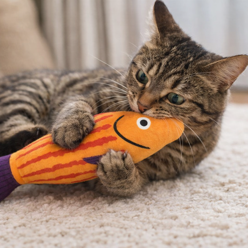 Anypet Orange Purple Squeaky Fish Plush Toy – Soft Cat Accessory for Playful Pets