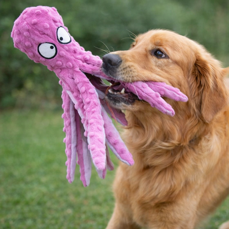 Anypet Purple Plush Octopus Puppy Chew Toy – Squeaky & Teething Aid