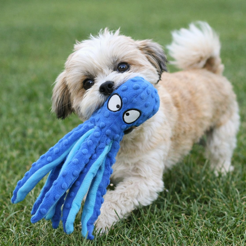 Anypet Blue Plush Octopus Puppy Chew Toy – Squeaky & Teething Aid