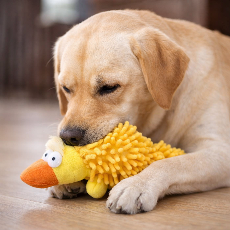 Anypet Plush Dog Toy – Yellow Squeaky Duck Interactive Pet Accessory
