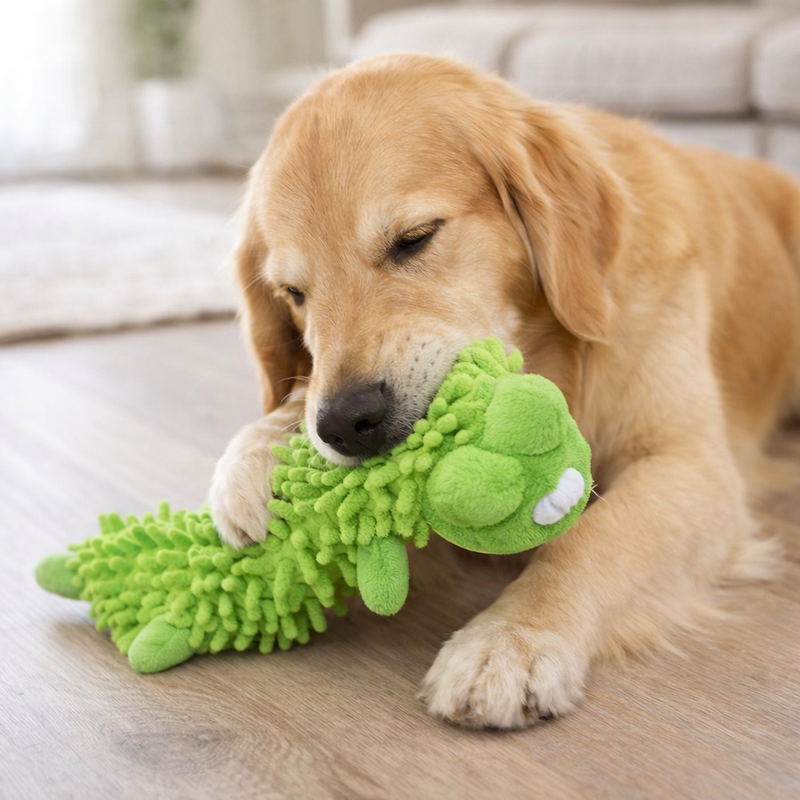 Anypet Plush Dog Toy – Green Squeaky Frog Interactive Pet Accessory