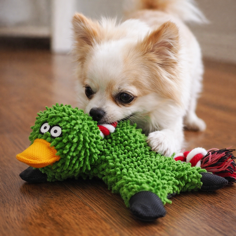 Anypet Plush Dog Toy – Green Squeaky Duck Interactive Pet Accessory