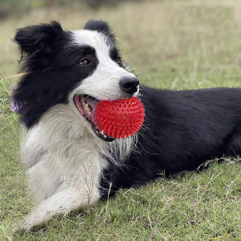 ANYPET Durable Rubber Chew Ball – Red Dog Toy for Healthy Play & Training