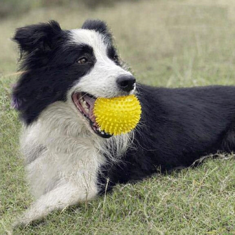 ANYPET Durable Rubber Chew Ball – Yellow Dog Toy for Healthy Play & Training