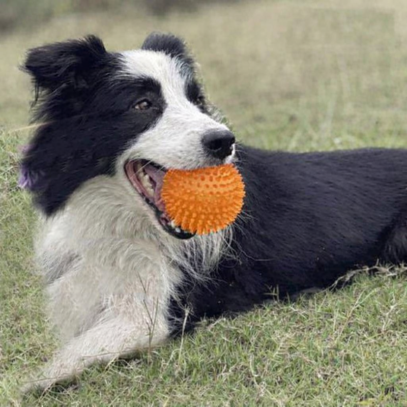 ANYPET Durable Rubber Chew Ball – Orange Dog Toy for Healthy Play & Training