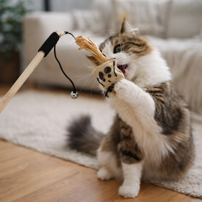Anypet Pet Toys Catcher Stick Wood Mini Cat Interactive Accessories