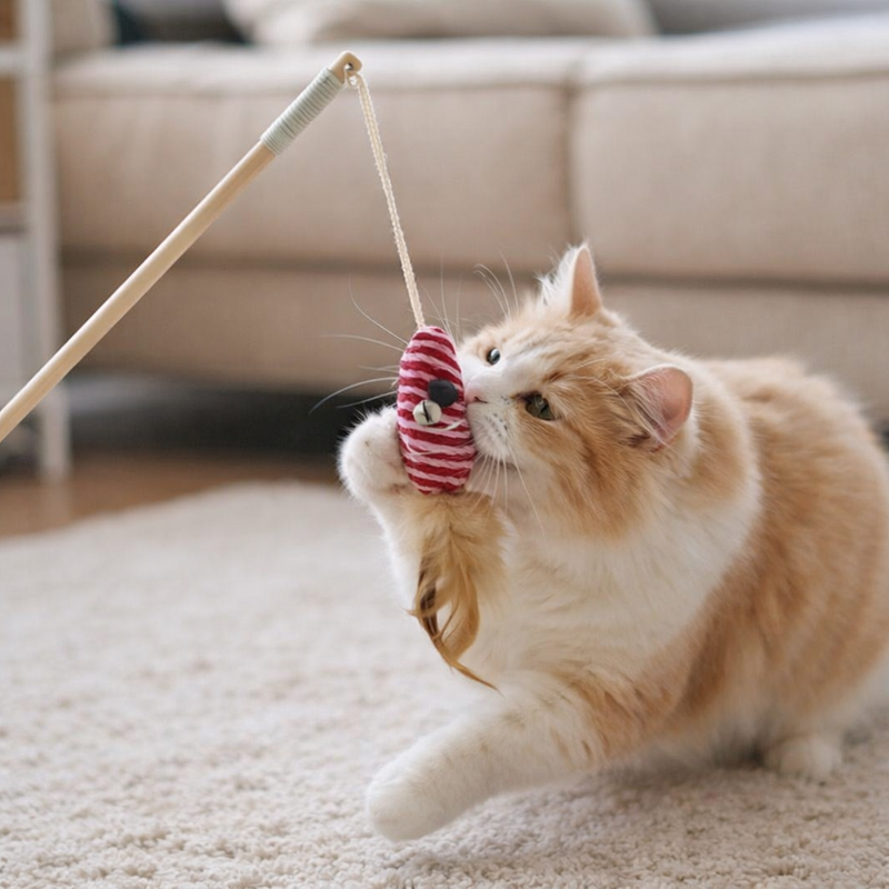 Anypet Pet Toys Catcher Stick Wood Red Mouse Interactive Accessories
