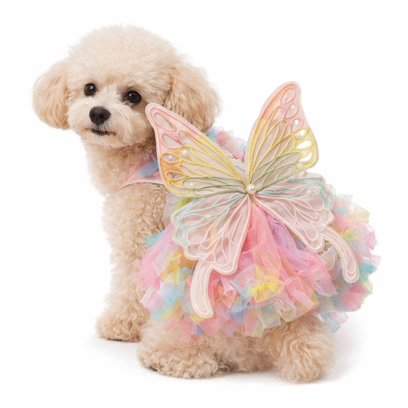 ANYPET Rainbow Butterfly Wings - Pet Costume with Bunny Print & Tassels