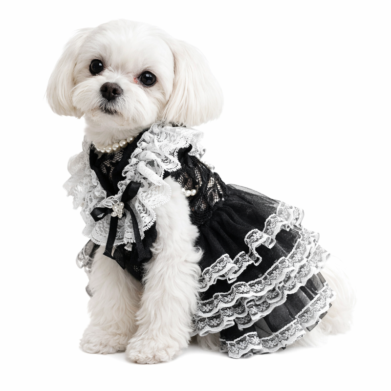 ANYPET Princess Dress - Pet Costume with Tassel Skirt for Special Occasions