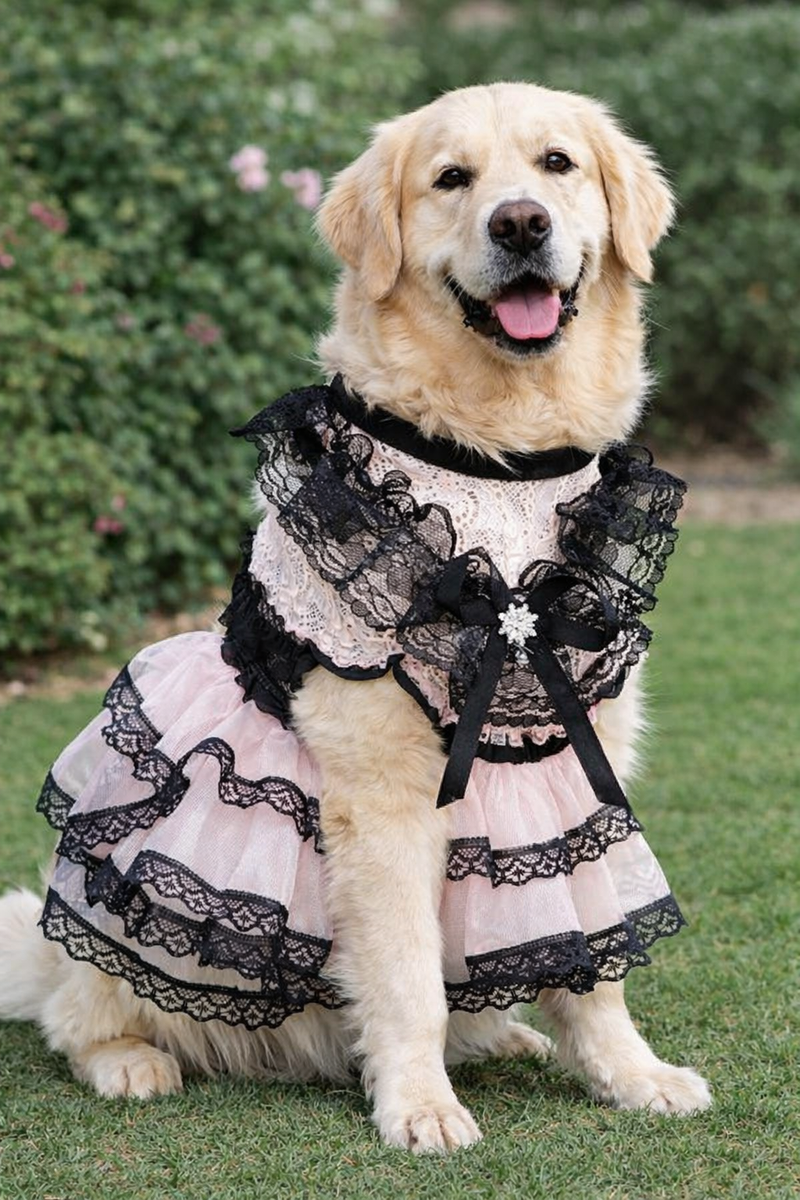 ANYPET Black and Pink Princess Dress - Pet Costume with Tassel Skirt for Special Occasions