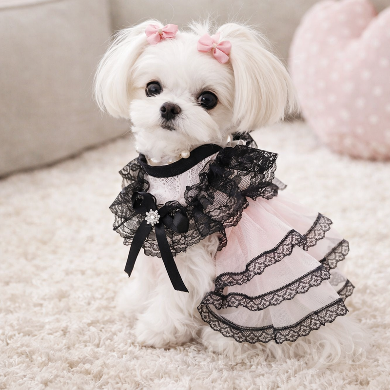 ANYPET Black and Pink Princess Dress - Pet Costume with Tassel Skirt for Special Occasions