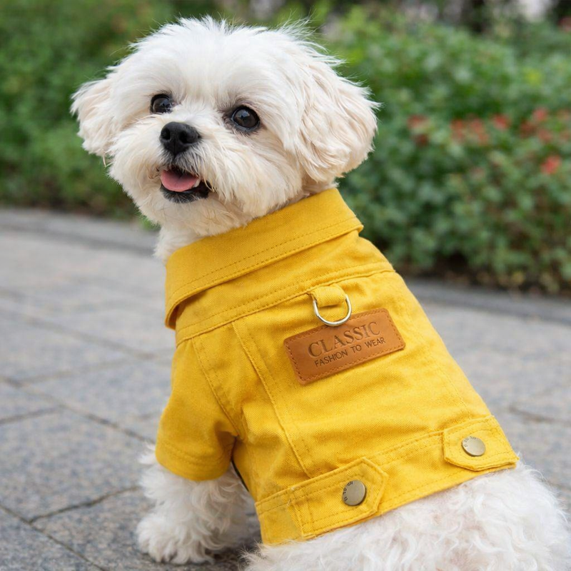 Anypet Pet Clothes Yellow Denim Coat Jacket Costume with Leash Ring for Special Occasion