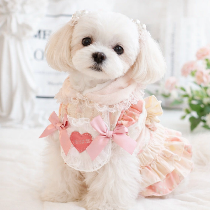 Anypet Pet Clothes Pink Cotton Princess Dress with Tassels and Heart Shape Clothe for Fancy and Special Occasions