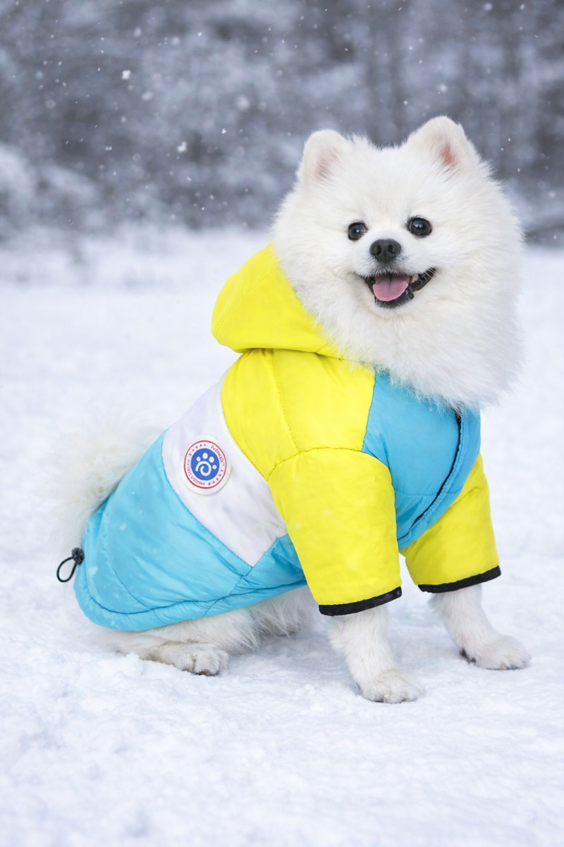 Anypet Yellow Blue Cotton Dog Coat with Sleeves & Hoodie – Warm Cosplay Jacket for Cold Weather