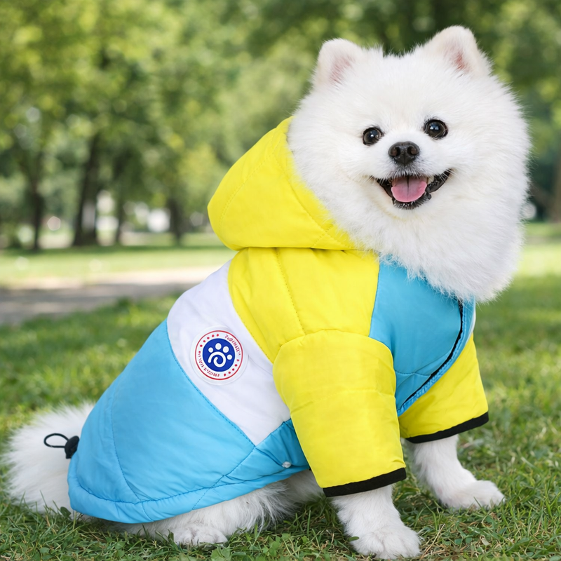 Anypet Yellow Blue Cotton Dog Coat with Sleeves & Hoodie – Warm Cosplay Jacket for Cold Weather