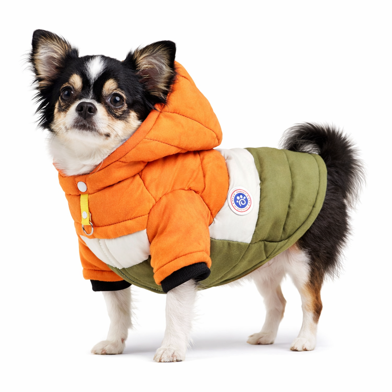 Anypet Orange Cotton Dog Coat with Sleeves & Hoodie – Warm Cosplay Jacket for Cold Weather
