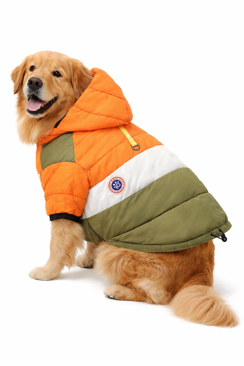 Anypet Orange Cotton Dog Coat with Sleeves & Hoodie – Warm Cosplay Jacket for Cold Weather