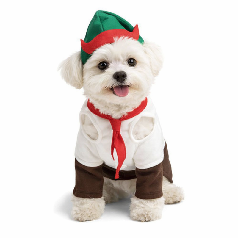 Anypet Dog Costume –Multi Color Holiday Outfit & Fun Accessories