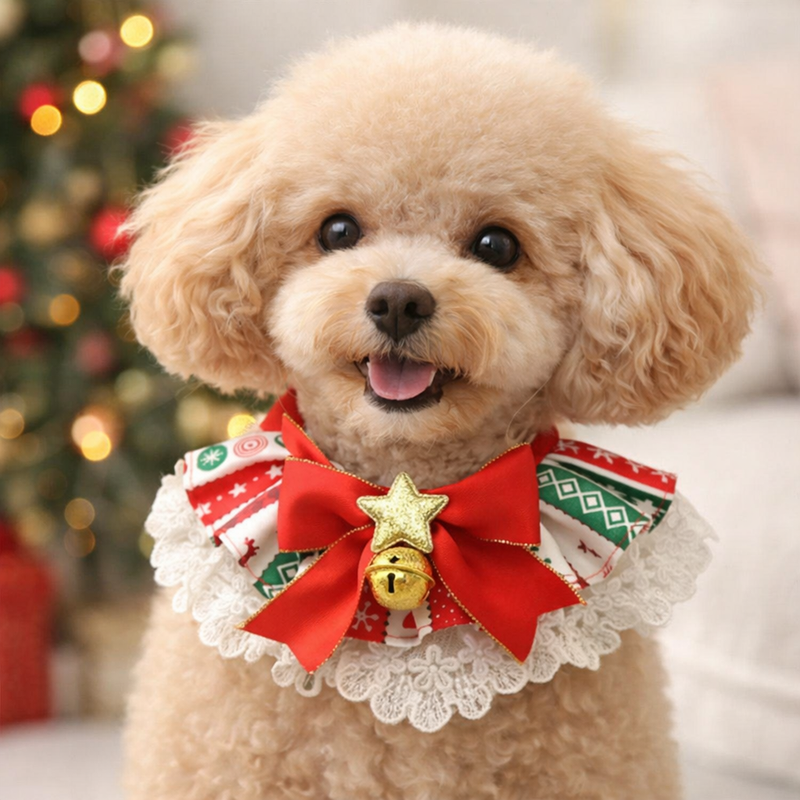 ANYWAGS Christmas Pet Collar Red and Grey Ribbon with Gold Star Christmas Lace Silk Ribbon Scarf – for Dogs & Cats Holiday Accessories