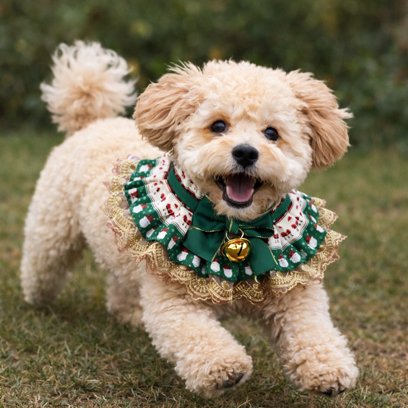 ANYWAGS Christmas Pet Collar – Green Bow with Bell Christmas Lace Silk Scarf for Dogs & Cats Holiday Accessories