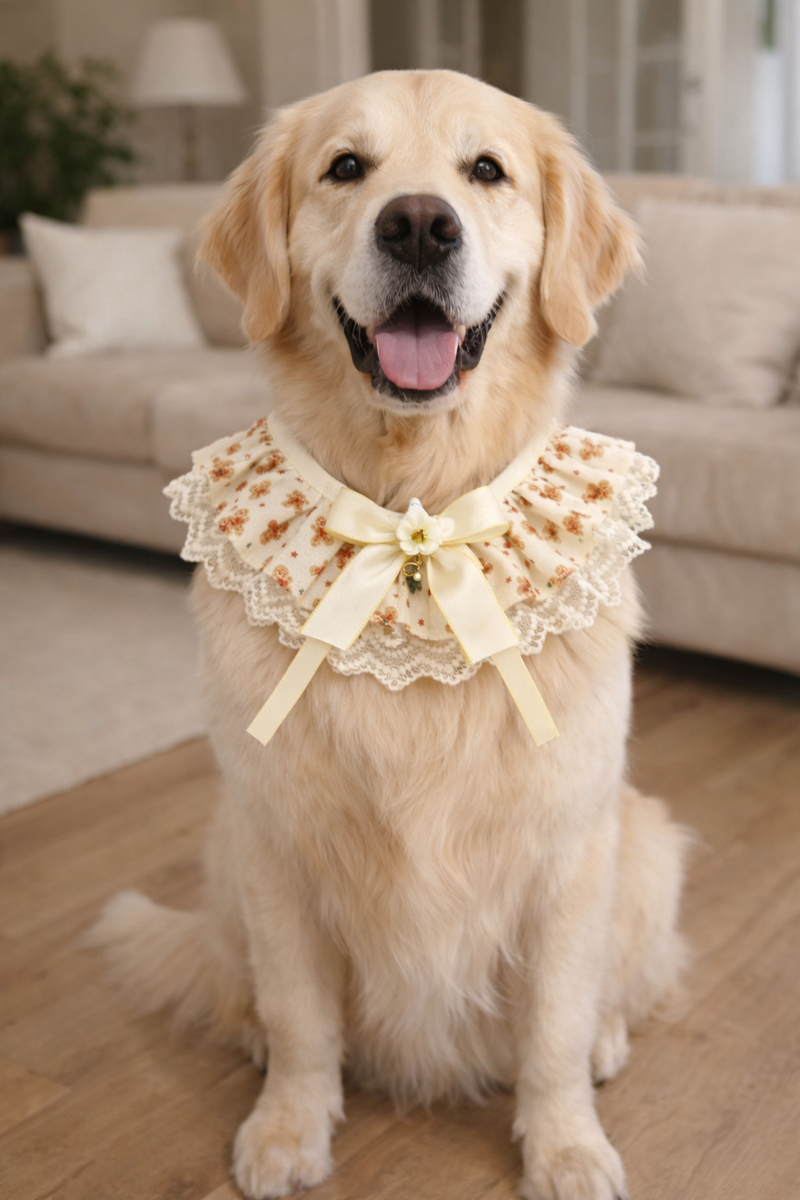 ANYWAGS Christmas Pet Collar – Yellow Printed Christmas Ribbon, Lace Silk Scarf for Dogs & Cats Holiday Accessories
