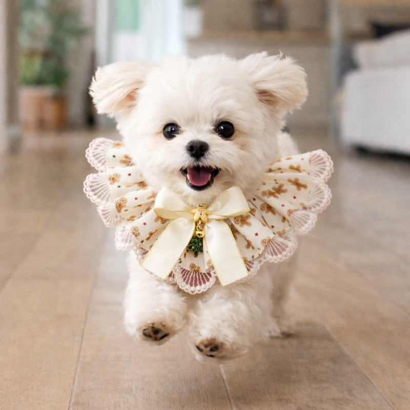 ANYWAGS Christmas Pet Collar – Cream Printed with Ribbon, Lace Silk Scarf for Dogs & Cats Holiday Accessories
