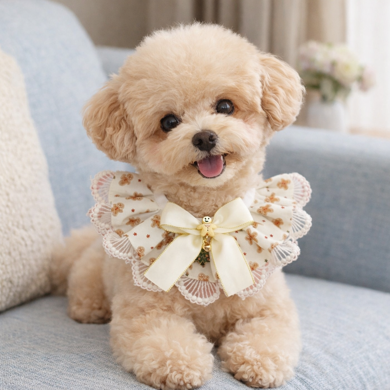 ANYWAGS Christmas Pet Collar – Cream Printed with Ribbon, Lace Silk Scarf for Dogs & Cats Holiday Accessories