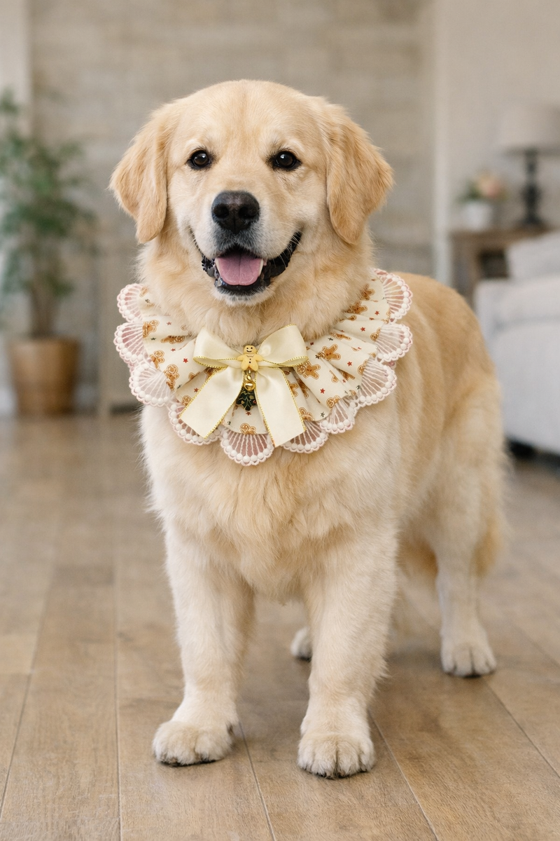 ANYWAGS Christmas Pet Collar – Cream Printed with Ribbon, Lace Silk Scarf for Dogs & Cats Holiday Accessories
