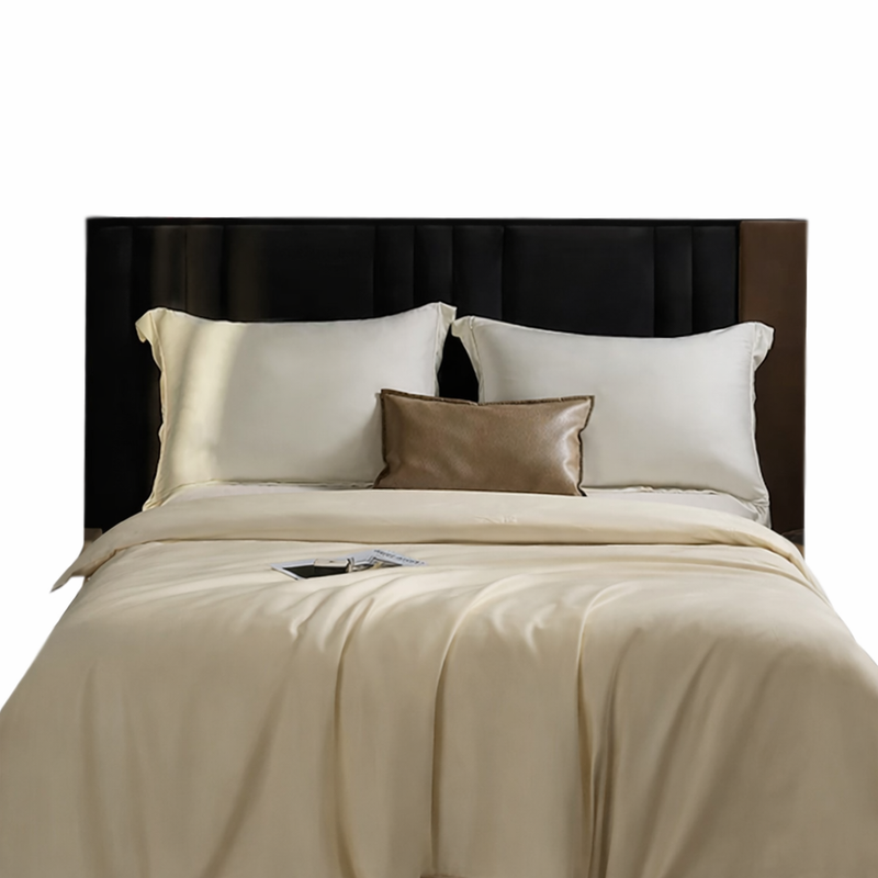 ANYCOZY Beige Mulberry Silk Duvet Cover – Premium Soft Blanket Comforter
