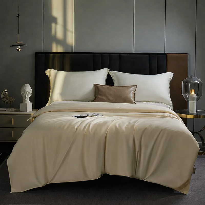 ANYCOZY Beige Mulberry Silk Duvet Cover – Premium Soft Blanket Comforter